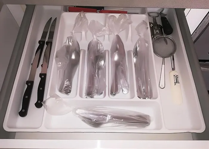 Kc Abroad * 美洲海滩